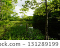 Yanohara Marsh in early June (Showa Village, Fukushima Prefecture) 131289199