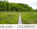 Yanohara Marsh in early June (Showa Village, Fukushima Prefecture) 131289201