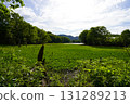Yanohara Marsh in early June (Showa Village, Fukushima Prefecture) 131289213