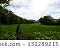 Yanohara Marsh in early June (Showa Village, Fukushima Prefecture) 131289215