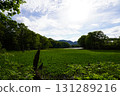 Yanohara Marsh in early June (Showa Village, Fukushima Prefecture) 131289216