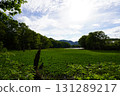 Yanohara Marsh in early June (Showa Village, Fukushima Prefecture) 131289217