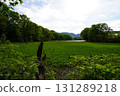 Yanohara Marsh in early June (Showa Village, Fukushima Prefecture) 131289218