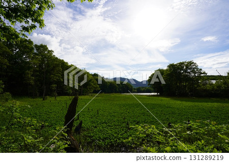Yanohara Marsh in early June (Showa Village, Fukushima Prefecture) 131289219