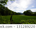 Yanohara Marsh in early June (Showa Village, Fukushima Prefecture) 131289220