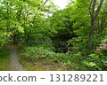 Yanohara Marsh in early June (Showa Village, Fukushima Prefecture) 131289221