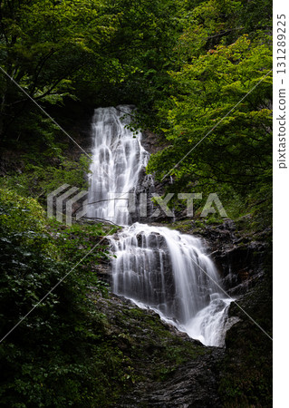Fresh green forest and beautiful waterfall, Karasawa Falls Fresh green forest and beautiful waterfall, Karasawa Falls 131289225