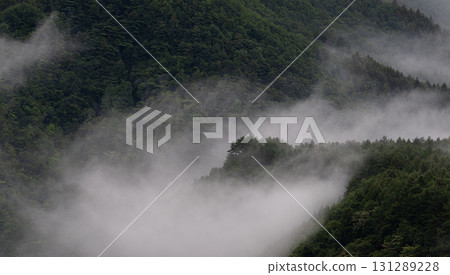 Fog wrapped in fog Fog wrapped in fog 131289228