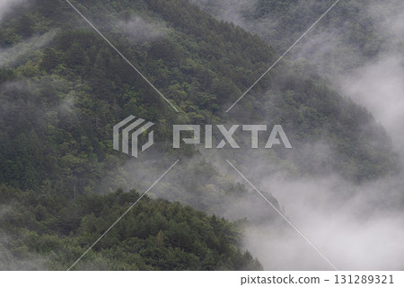 Fog wrapped in fog Fog wrapped in fog 131289321