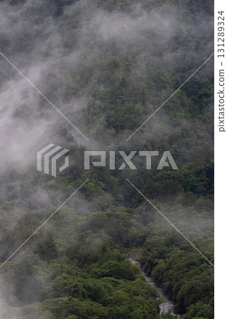 Fog wrapped in fog 131289324