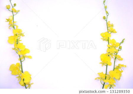 黃色文心蘭花框 黃色文心蘭花框 131289350