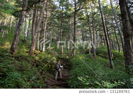 Climbing through the forest: Mount Ontake Climbing through the forest: Mount Ontake 131289761