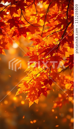 Scenery of autumn leaves 131289809