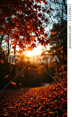 Scenery of autumn leaves 131289811