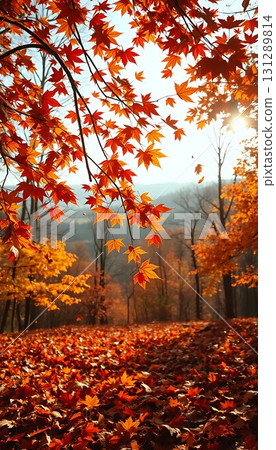 Scenery of autumn leaves Scenery of autumn leaves 131289814