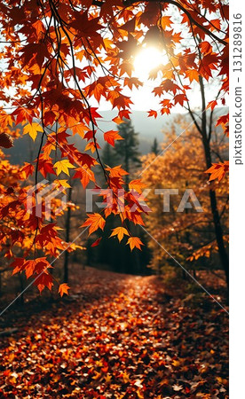 秋葉風景 131289816