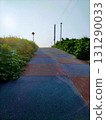 Path to the coast in the morning 131290033