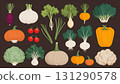 Illustration of vegetables 131290578