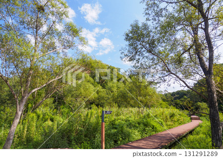 小次郎森林的秋天 小次郎森林的秋天 131291289