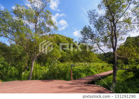 小次郎森林的秋天 131291290