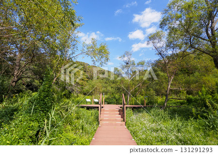 小次郎森林的秋天 小次郎森林的秋天 131291293