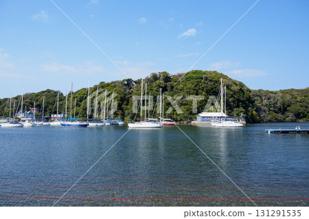 A quiet harbor 131291535