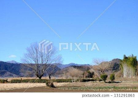 藍天下的農地【相模原市津久井 2月】 131291863