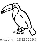 Illustration of a bird facing sideways: Toco Toucan 131292198
