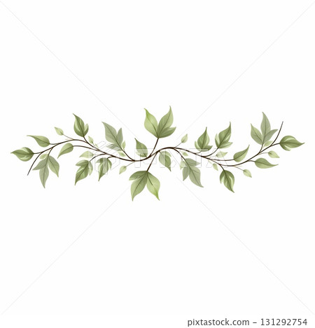 Elegant leafy vine divider, symmetrical botanical clip art, soft green leaves on thin swirling branches, isolated on white background 131292754