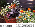 Orange flower arrangement 131293034