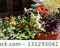 Halloween-themed planters and pots in front of the entrance 131293042