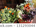 Halloween-themed planters and pots in front of the entrance 131293044