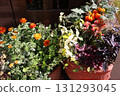 Orange flower arrangement and pots in front of the entrance 131293045