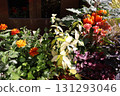 Halloween-themed planters and pots in front of the entrance 131293046