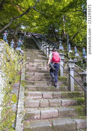 Woman hiking up stone steps at forest shrine with red backpack at Oyama mountain, Isehara, Kanagawa, Japan 131293071