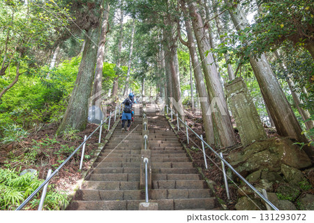 People climbing long stone staircase surrounded by tall trees in forest at Oyama mountain, Isehara, Kanagawa, Japan 131293072