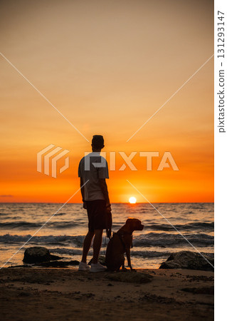 Man standing with his German Boxer dog on a sandy beach at sunset, both facing the ocean horizon, enjoying a calm evening together. 131293147