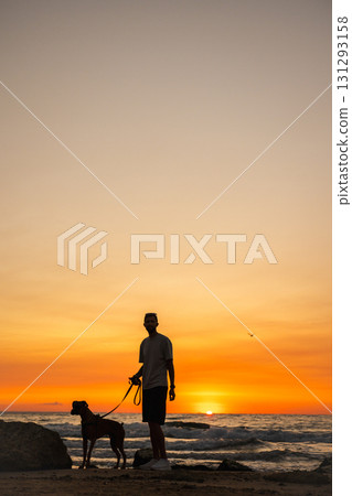 Man standing with his German Boxer dog on the beach during sunset, holding the leash as they face the ocean waves, silhouette view against the colorful evening sky. Man standing with his German Boxer dog on the beach during sunset, holding the leash as they face the ocean waves, silhouette view against the colorful evening sky. 131293158