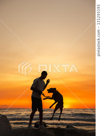 Man playing with his German Boxer dog on the beach at sunset, silhouette view of the dog jumping towards the owner near the ocean waves. Man playing with his German Boxer dog on the beach at sunset, silhouette view of the dog jumping towards the owner near the ocean waves. 131293193