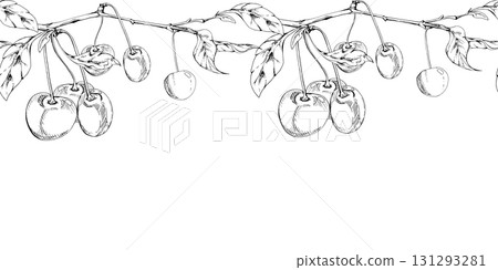 Sweet sour line cherry with plant leaves, hand drawn vector ink, garden berry in group clusters on branches. Seamless banner garland illustration, for restaurant, cafe menu, wedding, farmers market 131293281