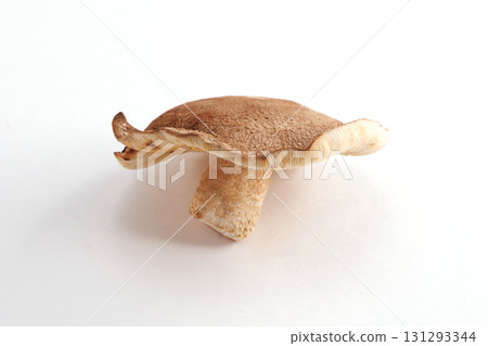 fresh shiitake mushrooms 131293344