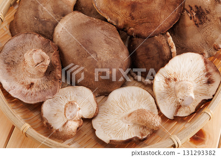 新鮮香菇 131293382