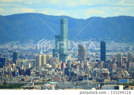 大阪市 大阪市 131294118