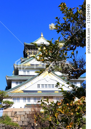 凝視在藍天的城堡塔 131294490