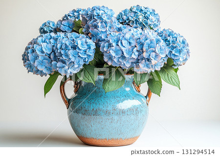 Big Hydrangea bush in rustic pot with fleshy leaves and pink flowers on a white background. 131294514