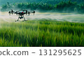 Agriculture drone fly to sprayed fertilizer above green rice fields. 131295625