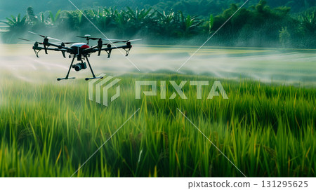 Agriculture drone fly to sprayed fertilizer above green rice fields. 131295625