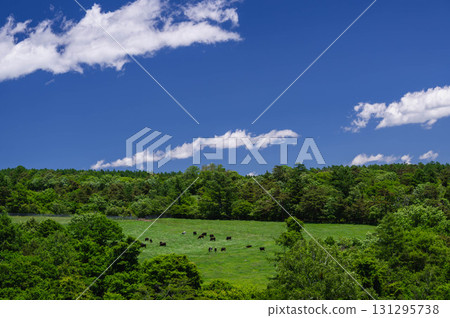 從牧場公園看到的牧場 131295738
