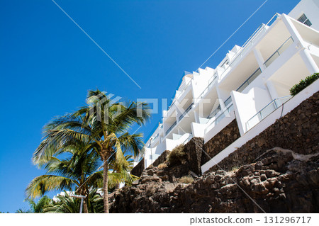 Large palm trees lined up under a bright blue sky and strong sunlight on Fuerteventura, Canary Islands 131296717