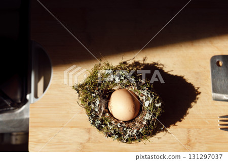 A brown chicken egg nestled in a bird's nest, illuminated by the morning sun. A country breakfast. A brown chicken egg nestled in a bird's nest, illuminated by the morning sun. A country breakfast. 131297037